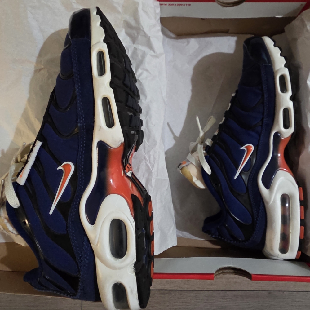 Nike Air Max Plus SE
